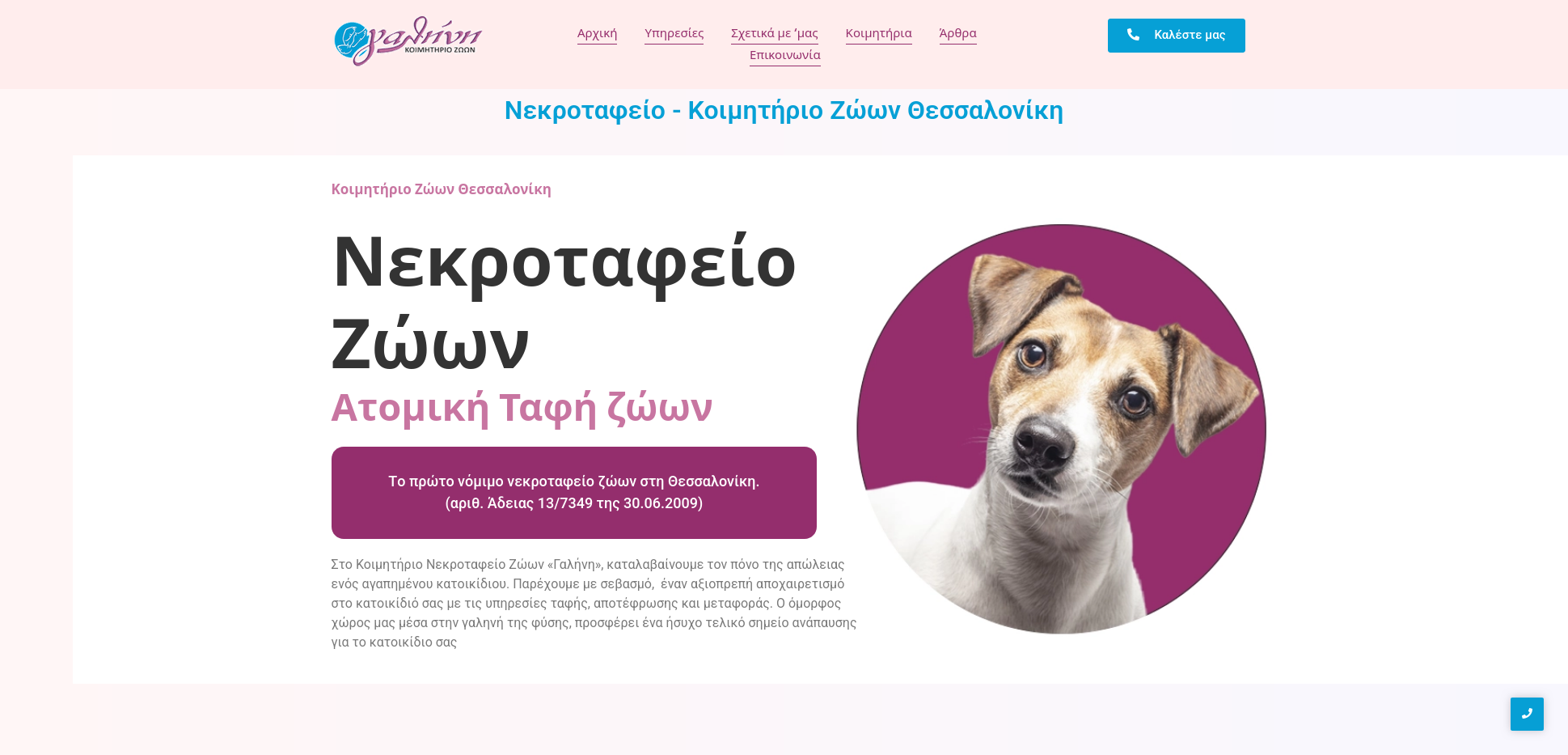 Website hosting - κοιμητήριο ζώων